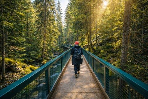 Tour por la tarde en Bow Falls, Cascade Ponds y Johnston Canyon