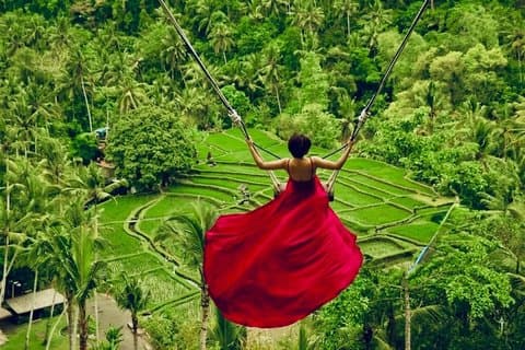 Ubud: Monkey Forest, Jungle Swing, Terraço de Arroz e Templo de Água