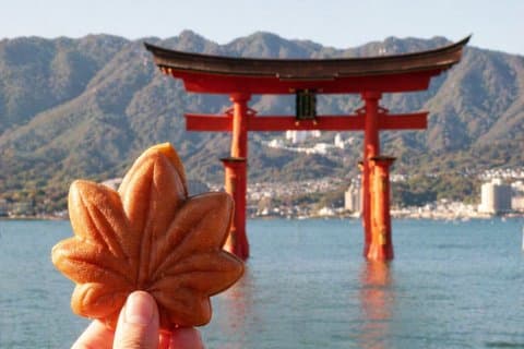 Hiroshima city tour Miyajima & Peace Memorial Park W Small Group