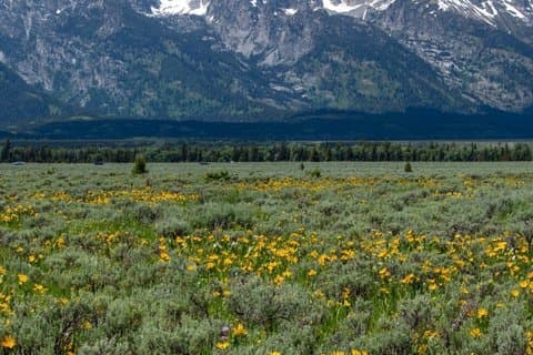 12 Group 3-Day Yellowstone Tour West Yellowstone Round-Trip