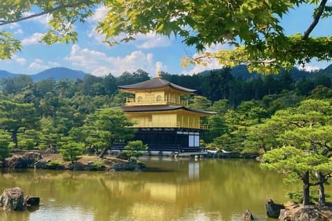 From Osaka or Kyoto: Kyoto and Nara 1-Day Bus Tour