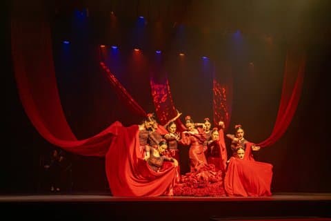 Experiencia Flamenca Fusión Show en Salou