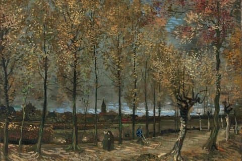 Sulle orme di Van Gogh Una grande giornata attraverso il Brabante