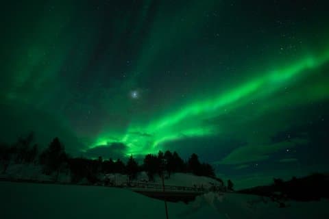 Tromsø: Northern Lights Chase com lanches e fotos