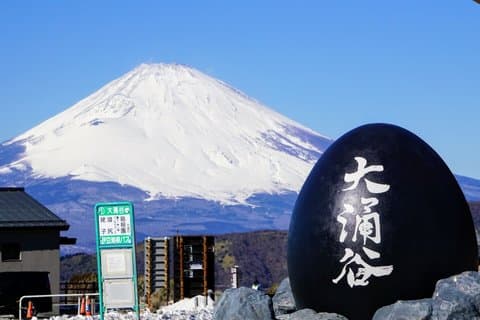 Tokio : Excursión de un día al santuario Hakone, Owakudani y Gotemba Premium Outlet