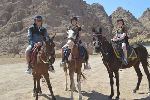 2H Sunrise Horse Ride Beach en woestijn met transfer : Hurghada