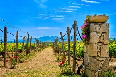 Creta Countryside Escape Farm Visite e degustazione di vini