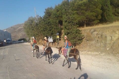 Afternoon Donkey Ride Along the Mountain Foothills of Parikia