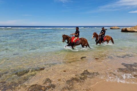 Avventure a cavallo nella baia di Makadi