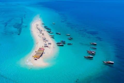Prison Island och Nakupenda Beach upplevelser med skaldjur