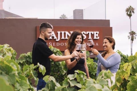 Volcanic Wine Tour: Heritage Vineyards & Tasting på Tajinaste