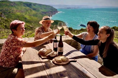 Private Lissabon til Arrabida Wine Tour: All-Inclusive, mad og udsigt