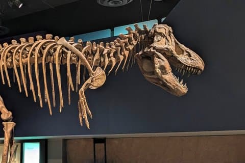 Badlands Guided Small Group Tour: Calgary to Drumheller Dinosaurs