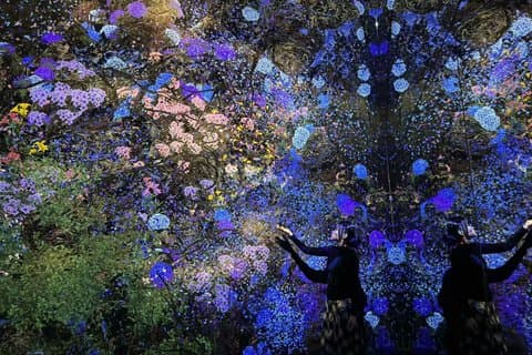 Tokyo TeamLab Planets Admission