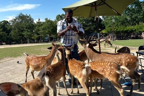 Kyoto and Nara Private Car Tour with a Local English Guide Driver