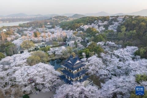 Wuxi Private Tagestour Klassische Gärten Altstadt