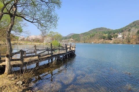 Healing Day Tour Nami Island Railbike and Garden of Morning Calm