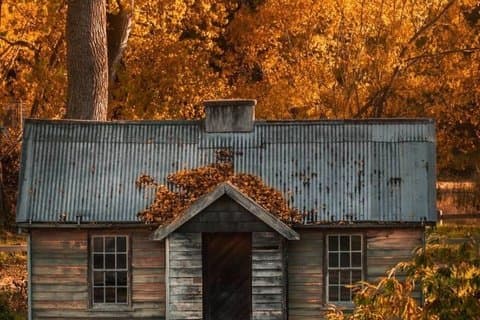 The Scenic Route Arrowtown Historic and Scenic Tour
