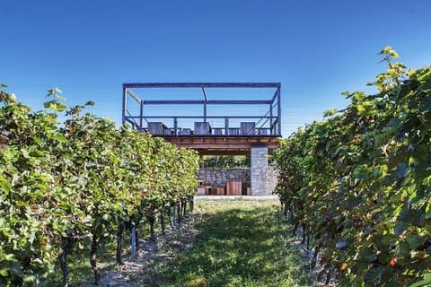 De Praga: Tour Privado de Vinhos Bohemianos e Delícias Locais
