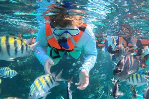 Isla Mujeres: Snorkling på 3 platser: MUSA, Manchones och Farito!