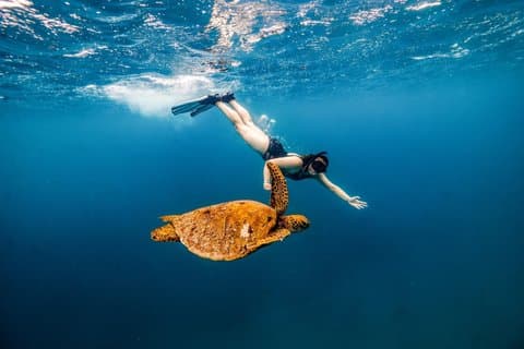 Rarotonga Cruise Ship Snorkeling Tour
