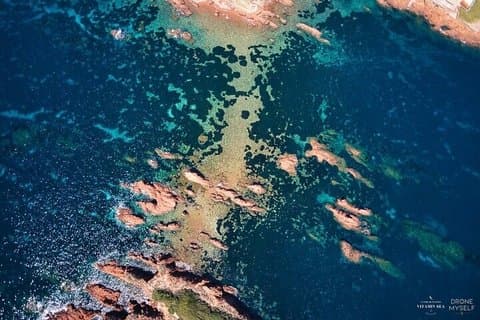 2-timers snorkeludflugt til Anthéor & Ile des Vieilles i St-Raphaël