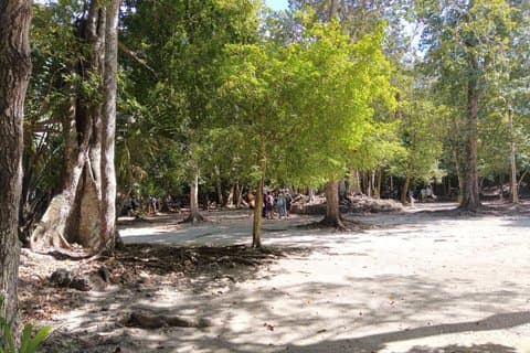 Tour privado a las ruinas mayas de Chacchoben Todo Incluido