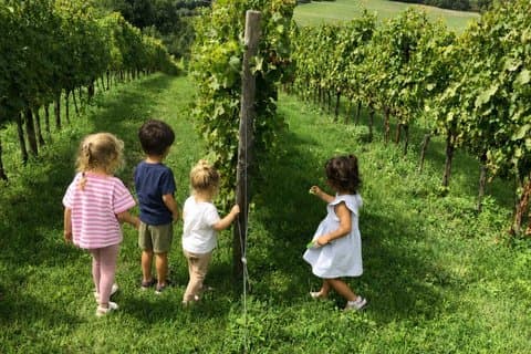 Kids Vineyard Adventure at a Family Winery near Orvieto