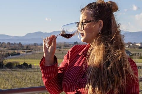 Degustación de 6 vinos con viñedo y bodega en Lazise