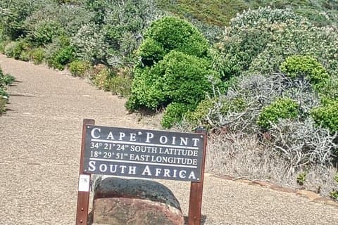 Excursión de medio día a Punta del Cabo y Peguin
