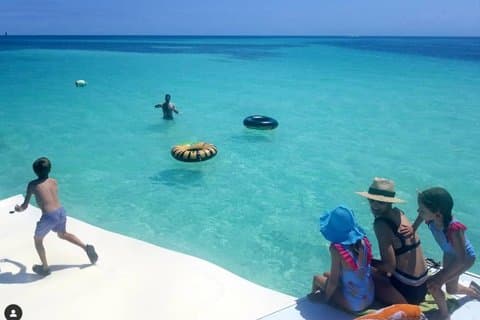 Islamorada Whale Harbor Snorkeling Activity