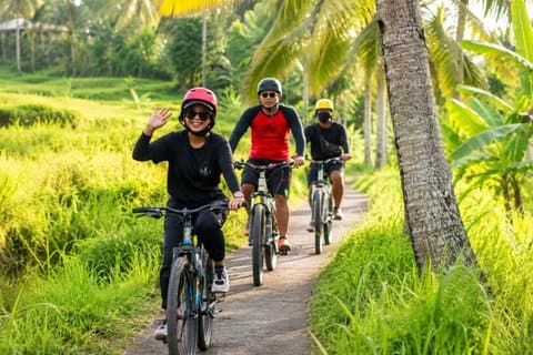 Privat cykeltur i Ubud gennem rismarker og landsbyer