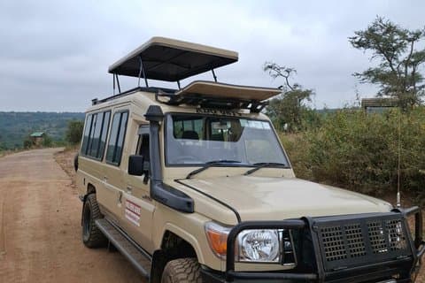 Privat Amboseli dagstur i 4x4 Landcruiser