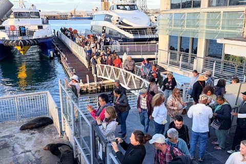 Robben Island Tour fra Cape Town Forhåndsbestilt billett
