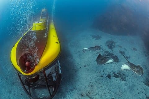 Tenerife Submarine Tour com Los Gigantes Pickup