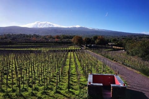 Partindo de Taormina, um passeio pelo Etna com uma parada na antiga cidade de Palmento.