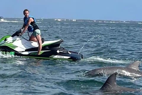 2 Stunden geführte Jet Ski Insel / Delfin Exkursion - Indian Rocks, FL