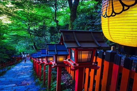 Excursión privada a los templos de Kioto y la naturaleza desde Osaka