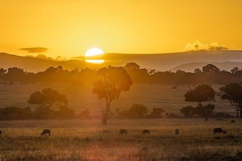 5 Day 4 Night Kenyan Safari Masai Mara and Amboseli Tour