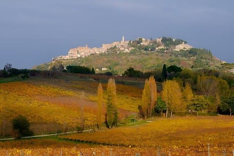 Private tour Wine and cheese a perfect combinations val 'Orcia