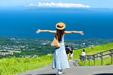 Izu Small Group: Ocean View tåg, Mt. Omuro & Coast