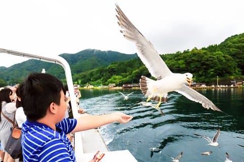 Kyoto/Osaka : Amanohashidate & Ine Funaya & Ine Bay Day Tour