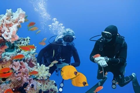 3 dagars PADI Open Water Dykkurs med båtdykare Hurghada