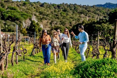Private Full-Day Wine Tour from Lisbon with Tastings to Arrábida