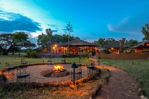 10 Dagen 9 Nachten Oost-Afrika Safari Kenia en Tanzania Tour
