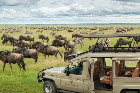 Ganztägige Pirschfahrt am Ngorongoro Krater