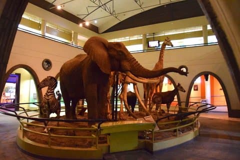 Nairobi National Museum, Karen Blixen and Traditional Dance Tour