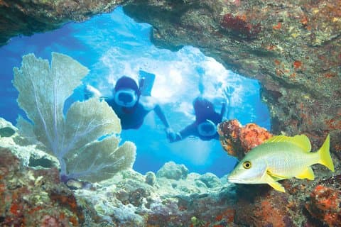 Key West Double-Dip Snorkel Tour-Two Stops, Twice the Fun!