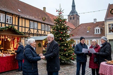 Privé kerstwandeltocht in de oude binnenstad van Odense