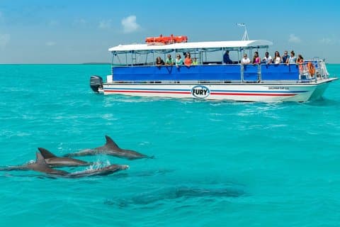 Hotell i nærheten av Key West Dolphin Watch and Snorkel Tour - Eco Adventure